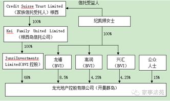 企業(yè)家稅務(wù)風(fēng)險(xiǎn)管理 7 換個(gè)角度解析龍光集團(tuán)家族信托